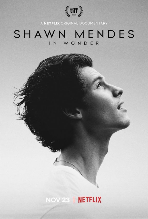 Shawn Mendes: In Wonder.