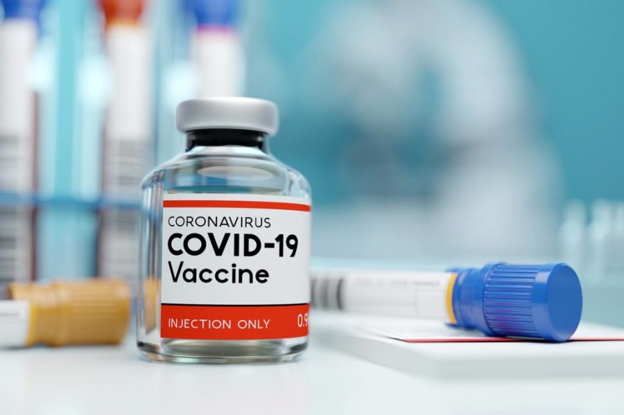 The+Coronavirus+Vaccine+and+its+Race+Against+the+Pandemic