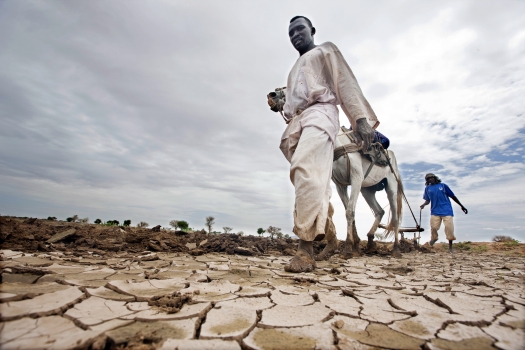 Africa’s Climate Crisis: How Could it Affect Us?