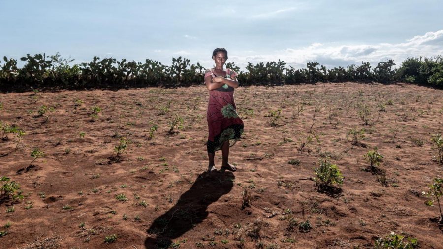 The World’s First Climate Change Famine