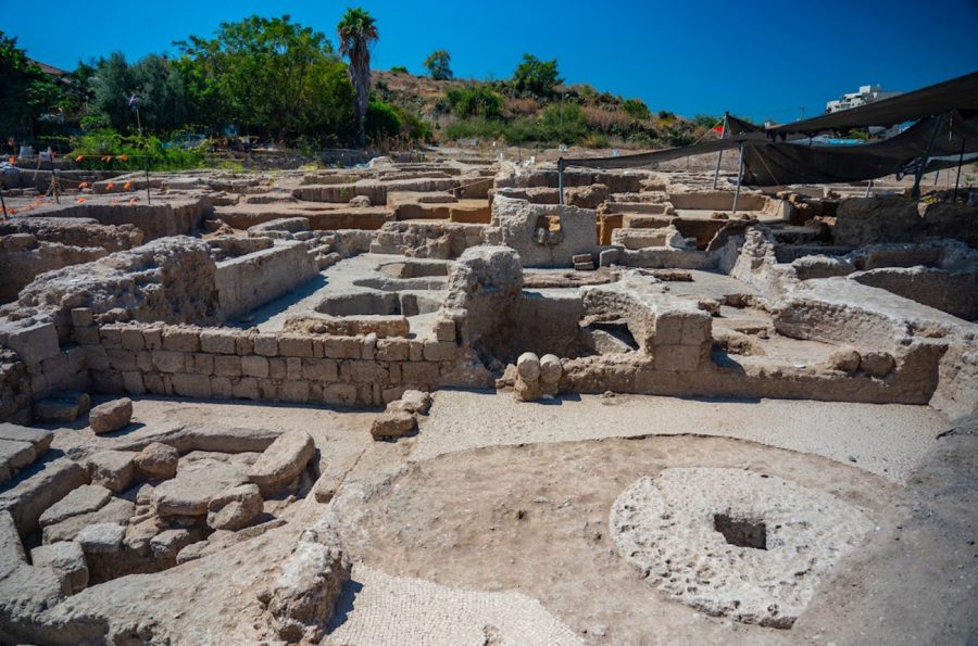 1,500 Year-Old Winery Unearthed in Israel
