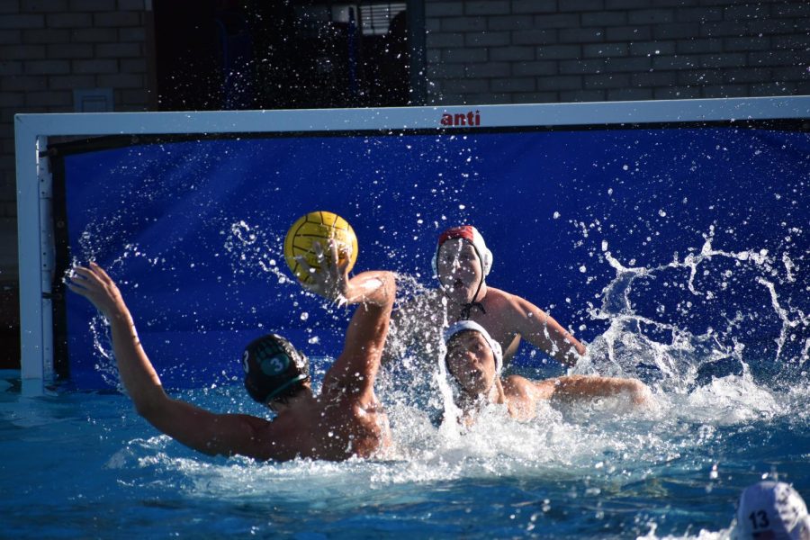 Boys+Water+Polo+Competes+in+CIF