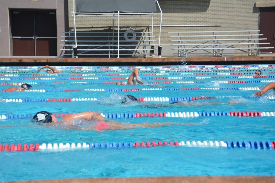 Boys and Girls Swimming