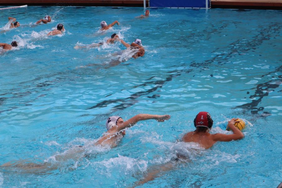 Boys Water Polo Makes a Splash