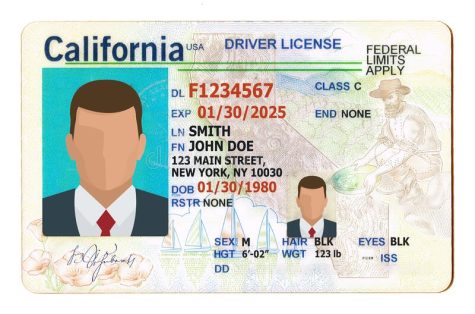How To Get a Driver’s License 2023