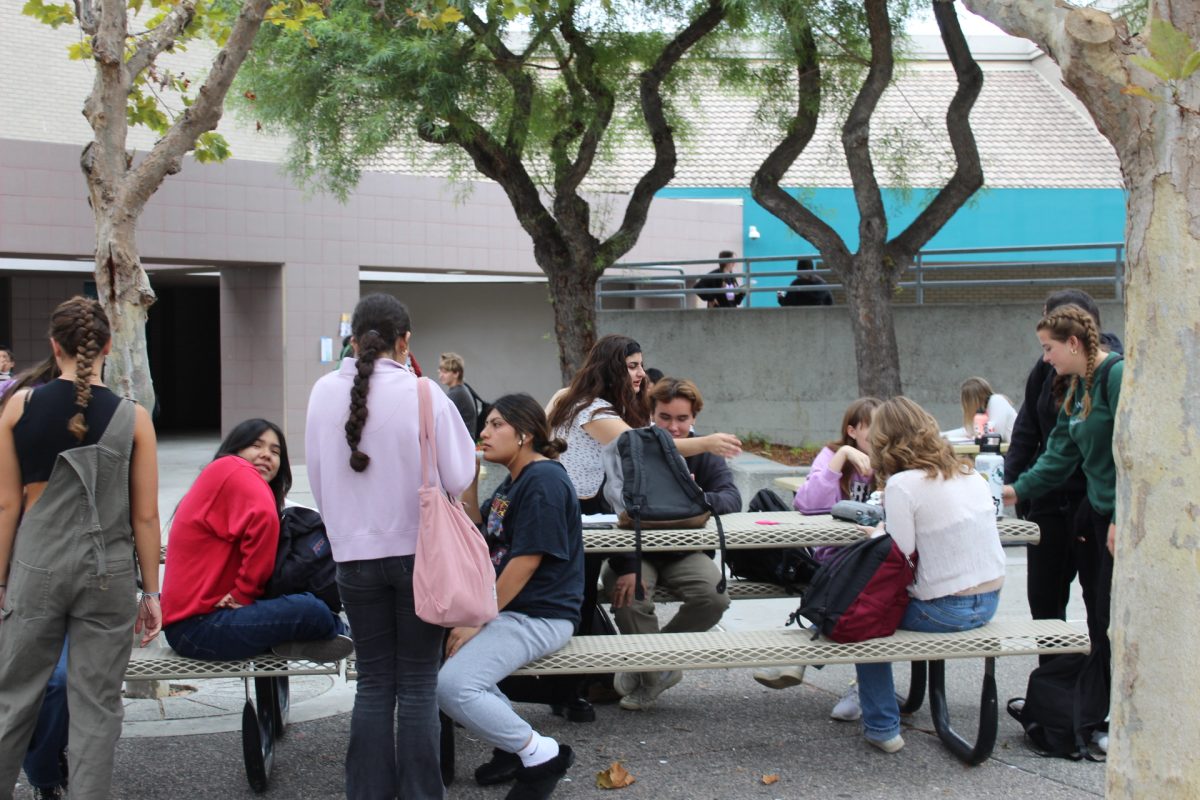 Students talking during lunch.