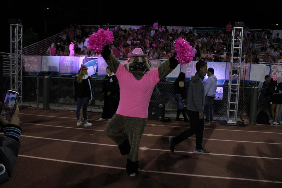 Wally the Wolverine pumps up crowd at football game