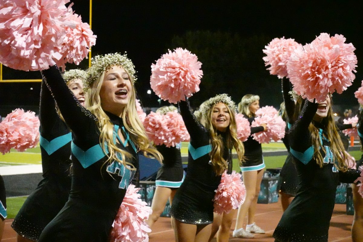 Aliso Niguel's Cheer during the Pink out game