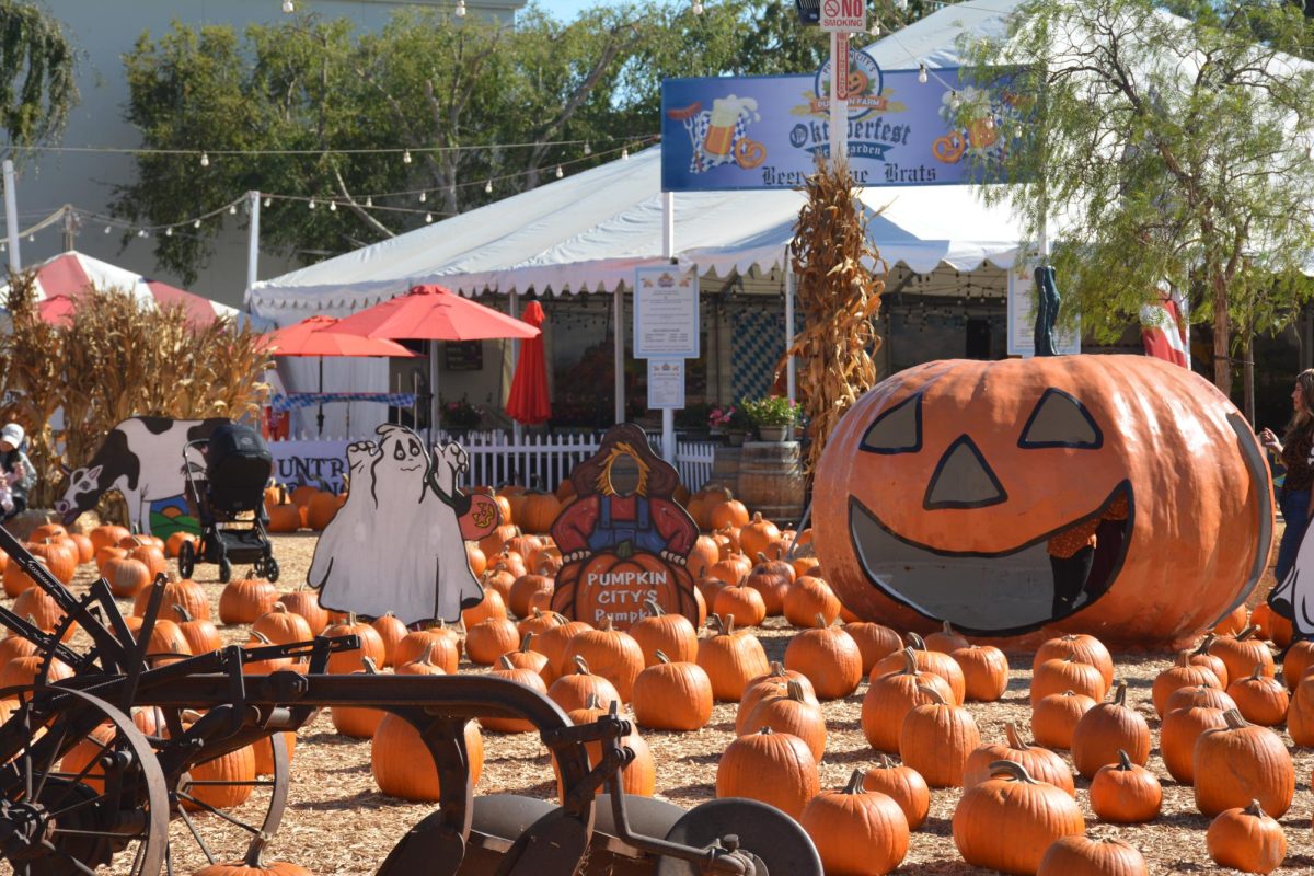 Pumpkin City in Laguna Hills is open till Halloween.