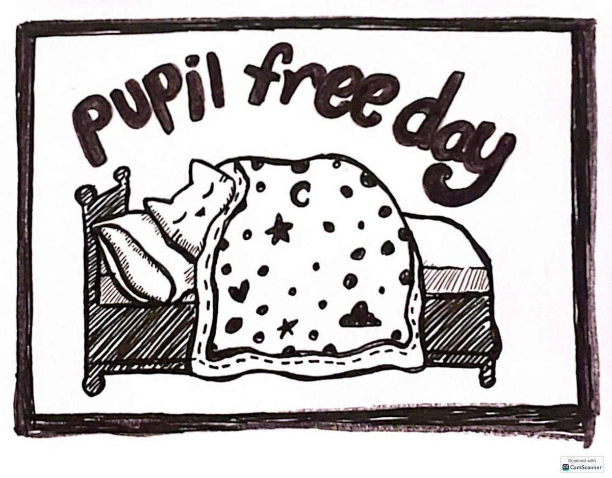 Pupil Free Day