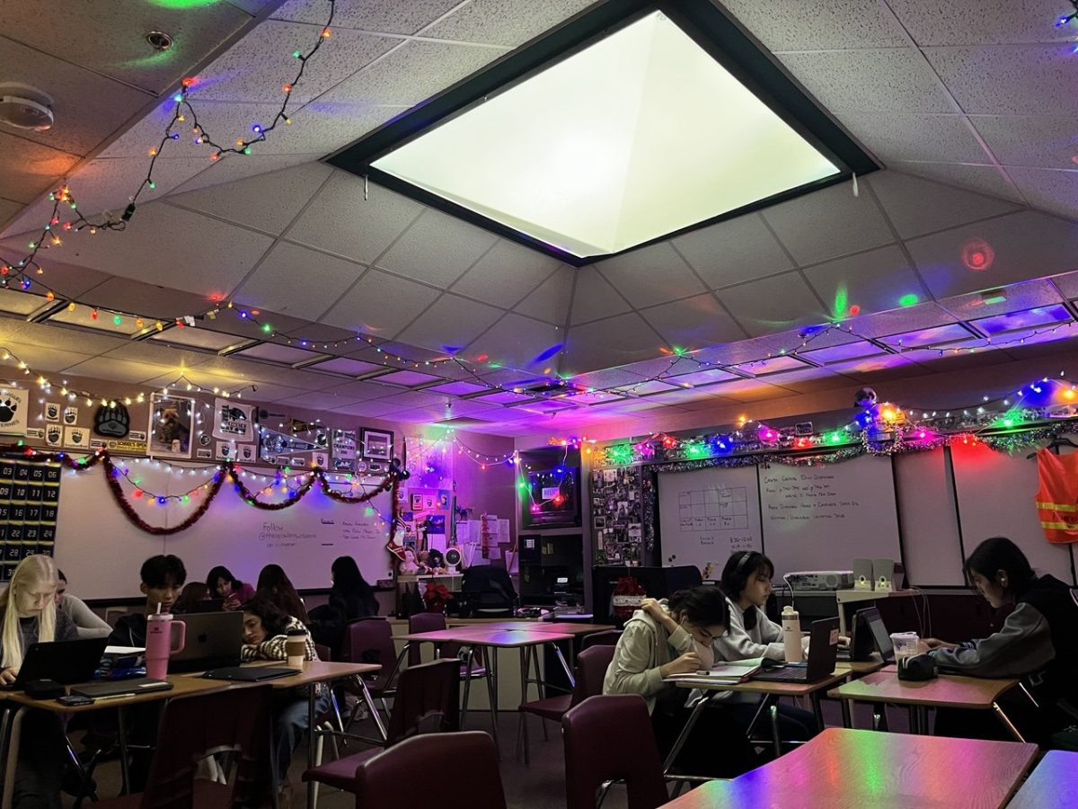 Mrs. Alvarez's classroom hung up lights to celebrate the holidays. 