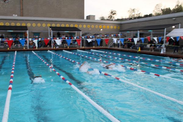 Aliso Girls' Swim dive into their season.