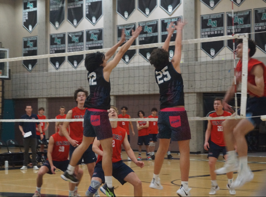 Aliso Boys' Volleyball competes against Tesoro. 
