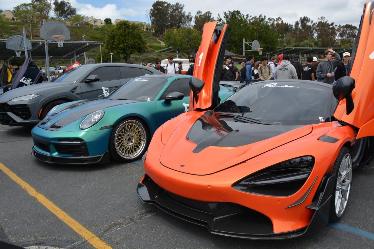 A look at the sports cars in the annual Car Show.