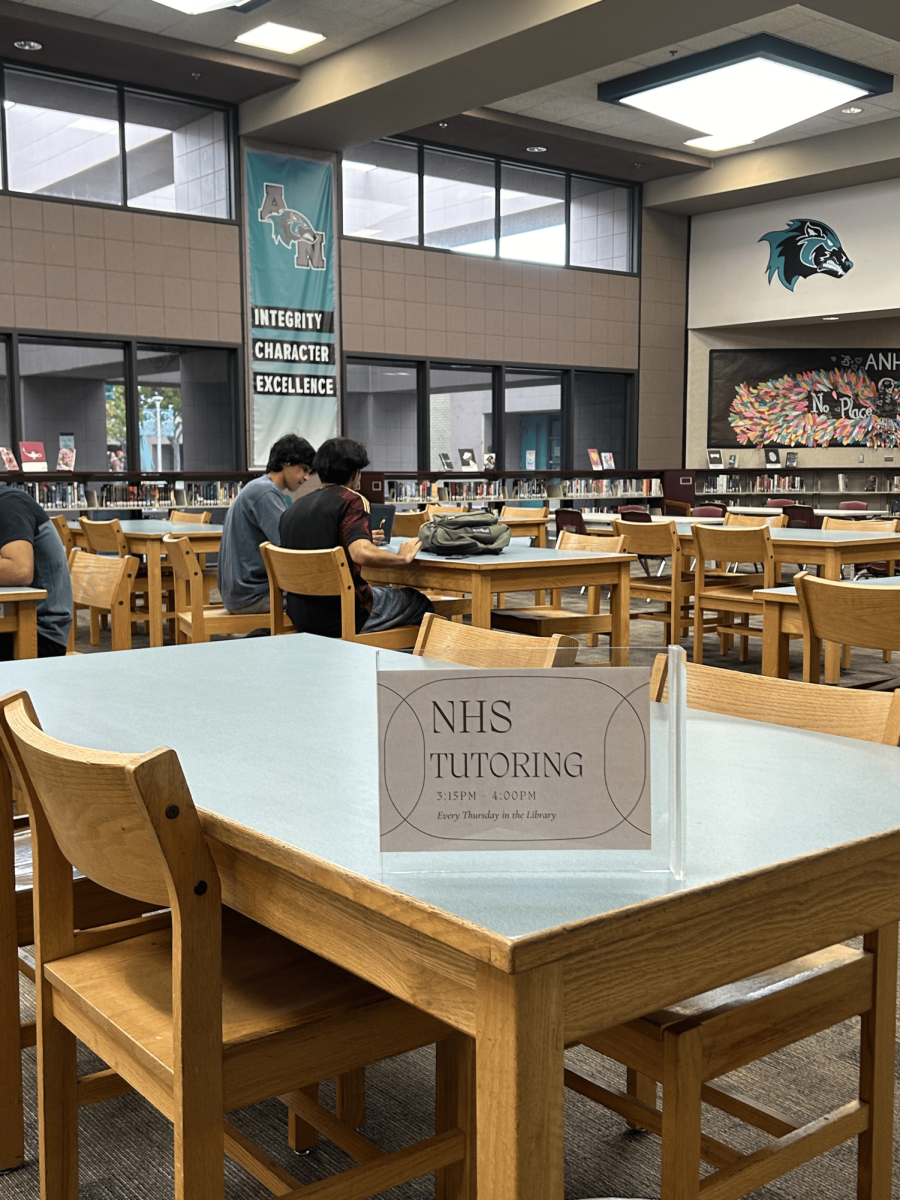NHS Tutoring Sessions