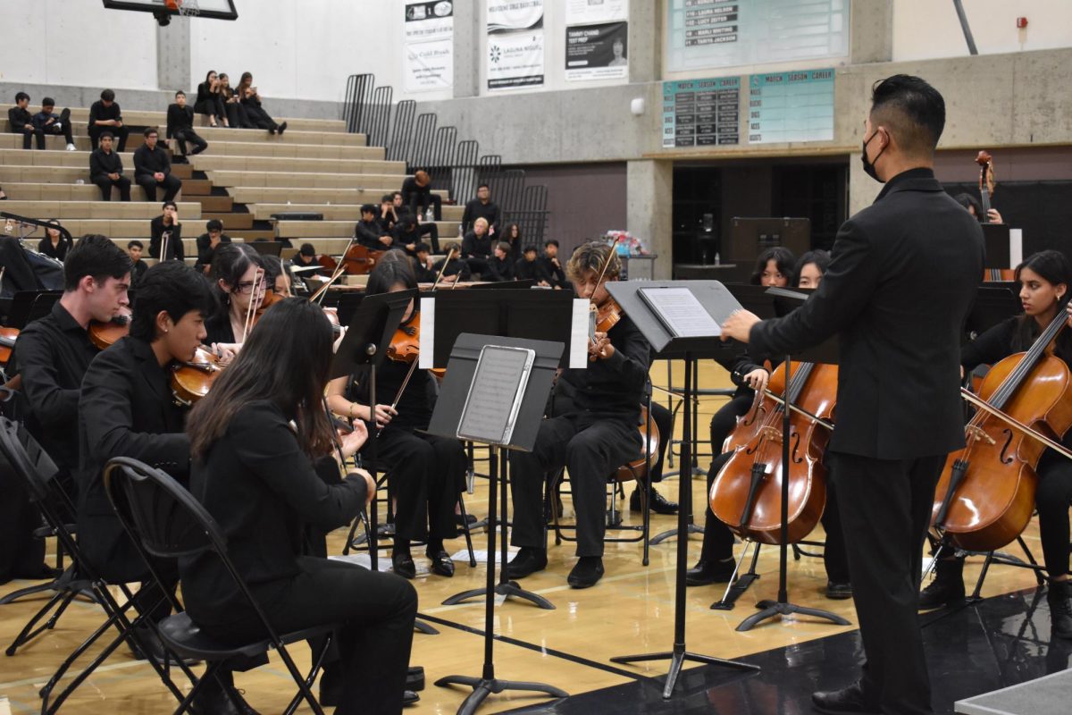 Orchestra & Concert Band Fall Concert