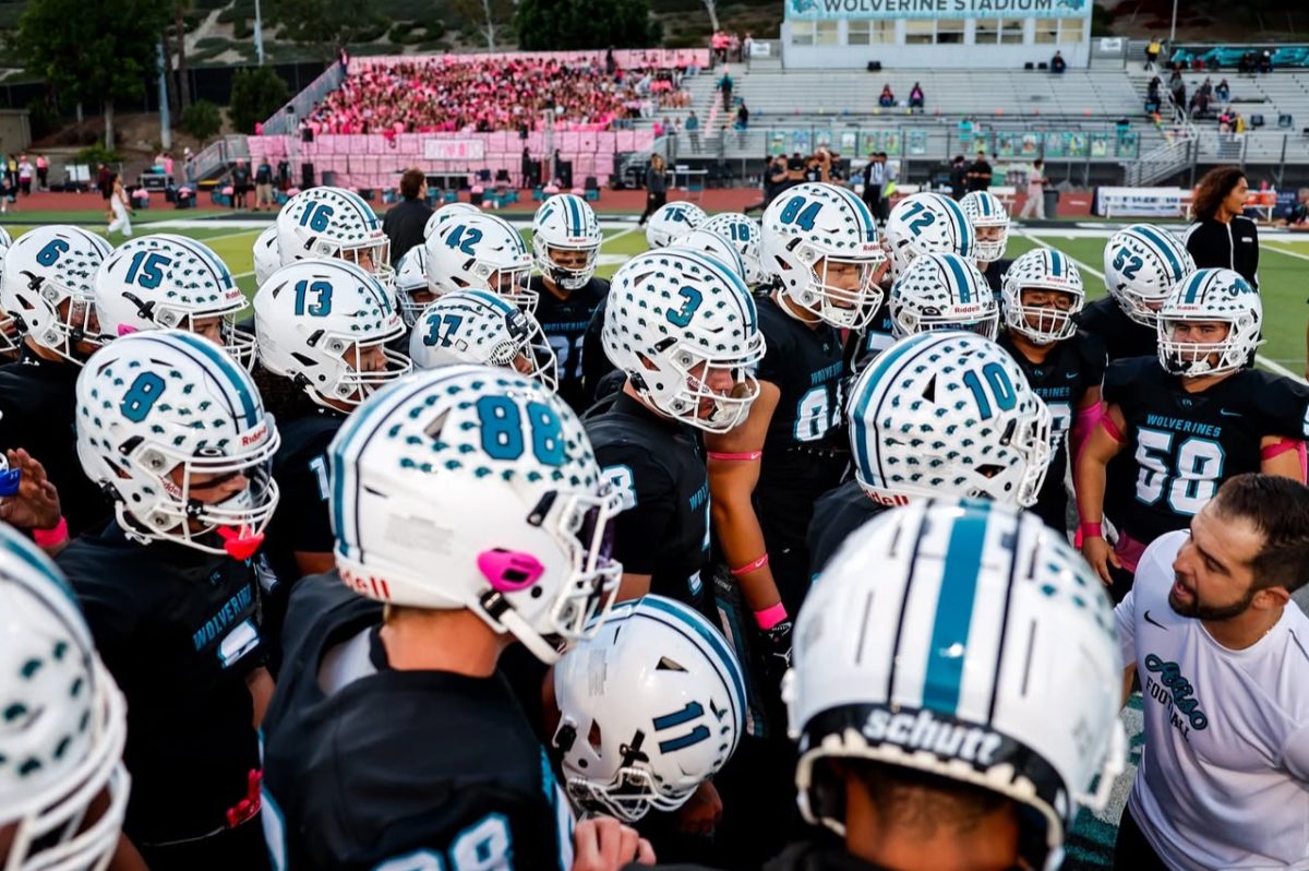 Photo from @Winking_lens