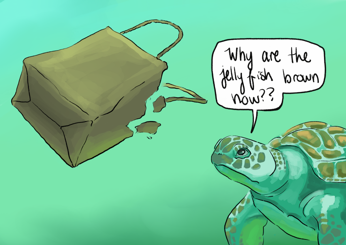 Paper_bag