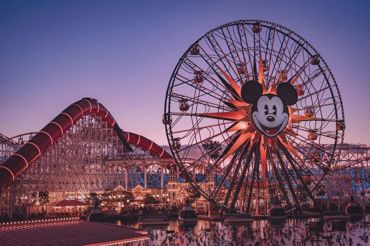 Photo by Clyde_He on Unsplash
