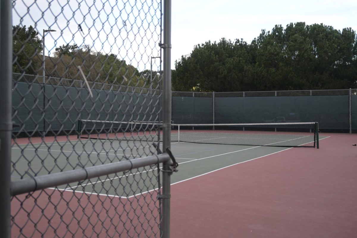Boys Tennis in Full Swing