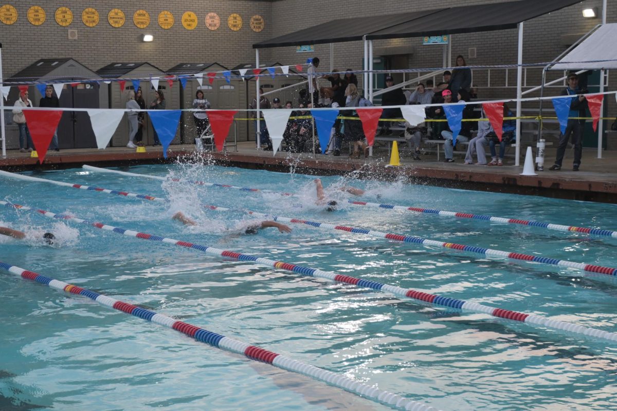 Freestyle race