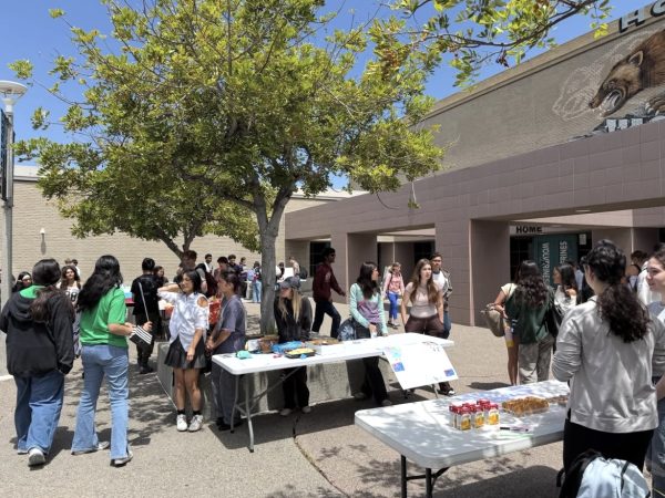 Exploring a Diverse Palate of Cultures at ANHS’ Food Fair